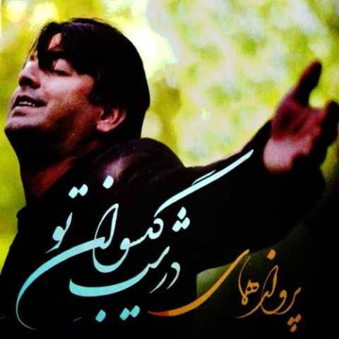 پرواز همای غمه کهنه